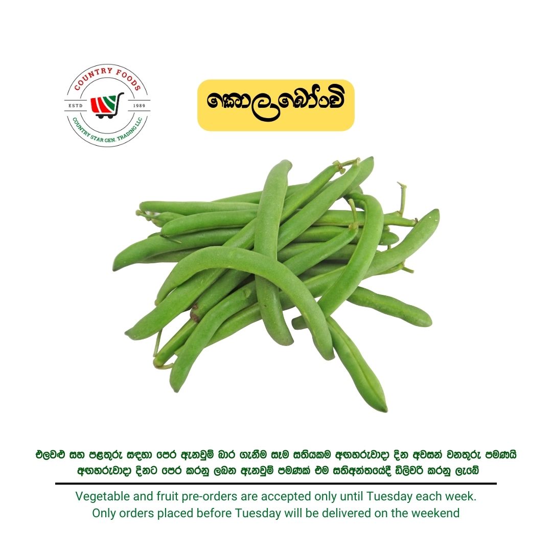 Green Beans kola bonchi beans french beans