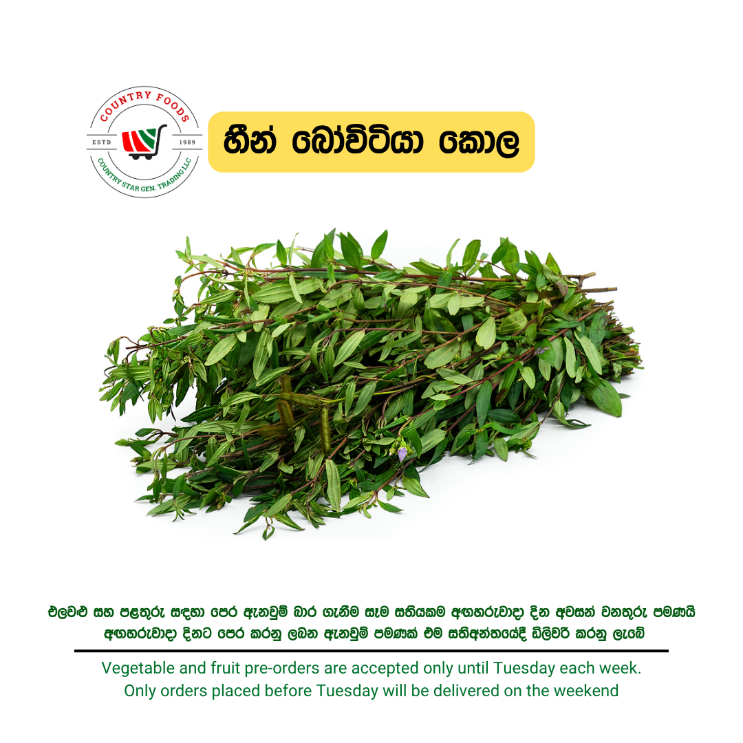 Heen Bovitiya leaves 250g (PRE ORDER ITEM)