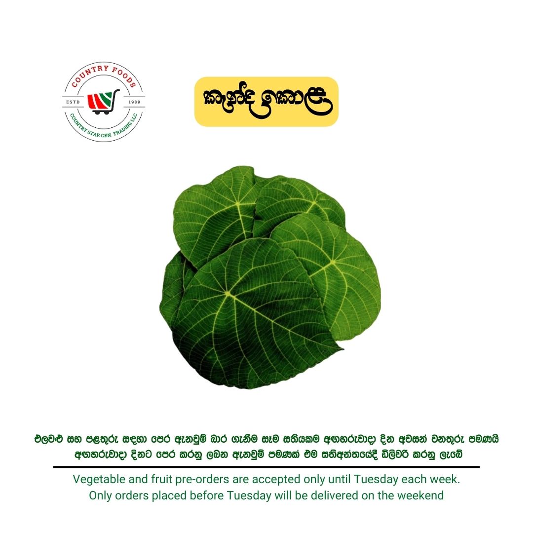 Kenda Leaf Kenda Kola