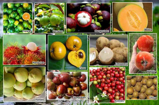 Indulge in the Exotic Taste and Benefits of Sri Lankan Fruits