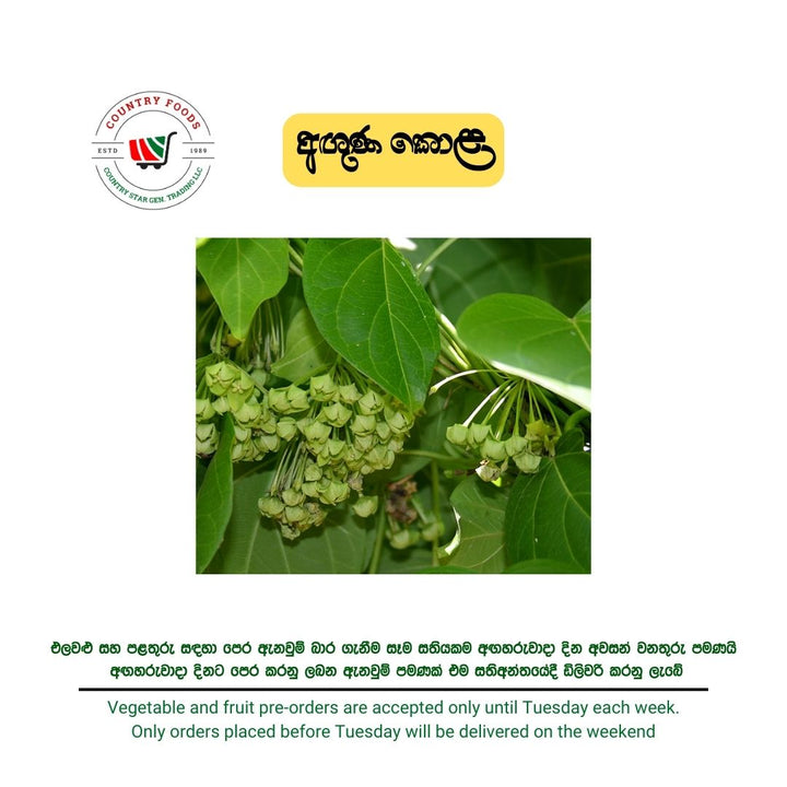 Vegetables – Lanka Foods by Country Foods