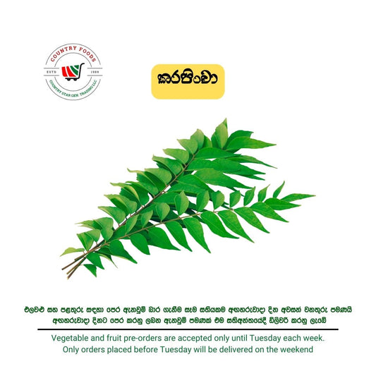 Curry Leaves Karapincha