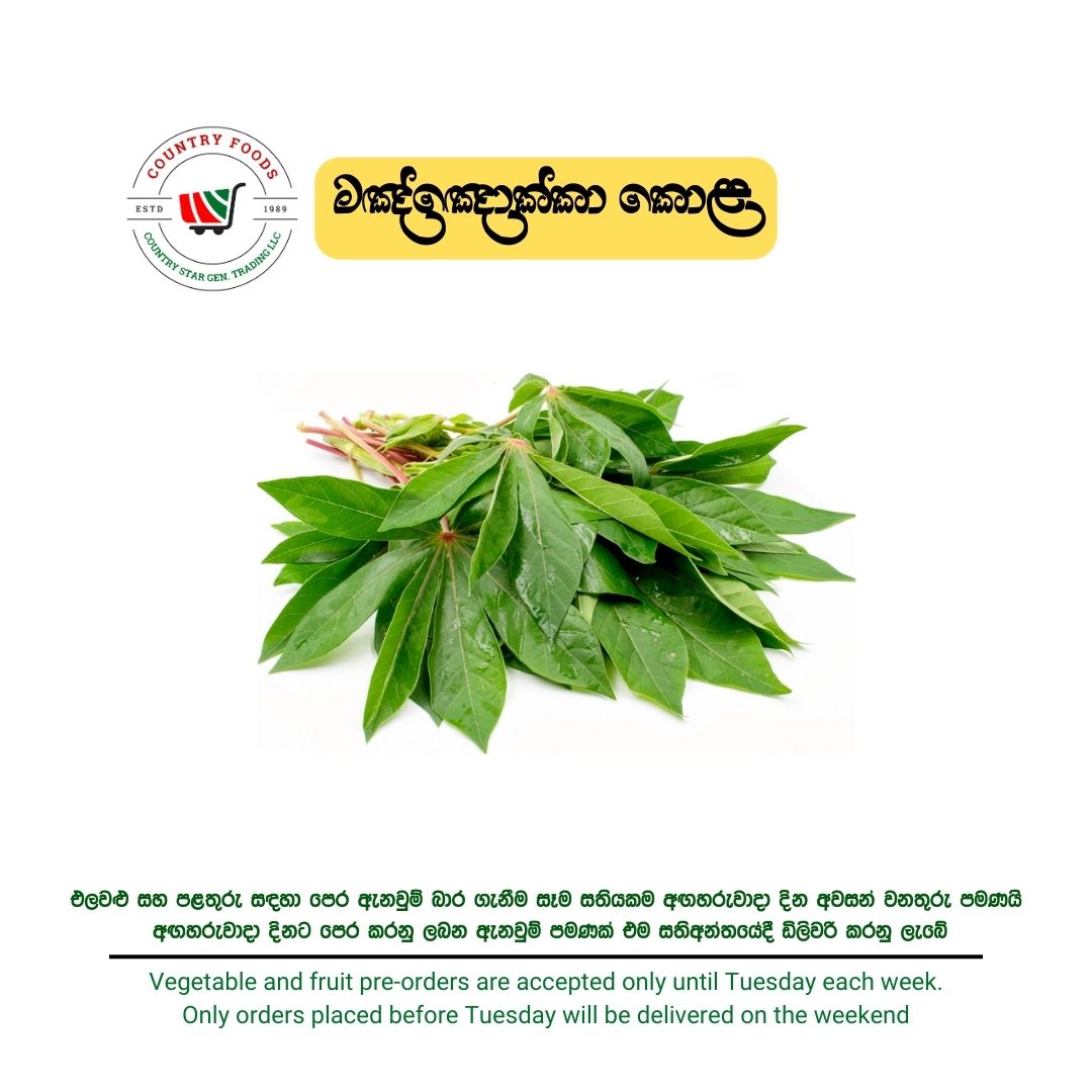 Tapioca Leaves manioc leaves